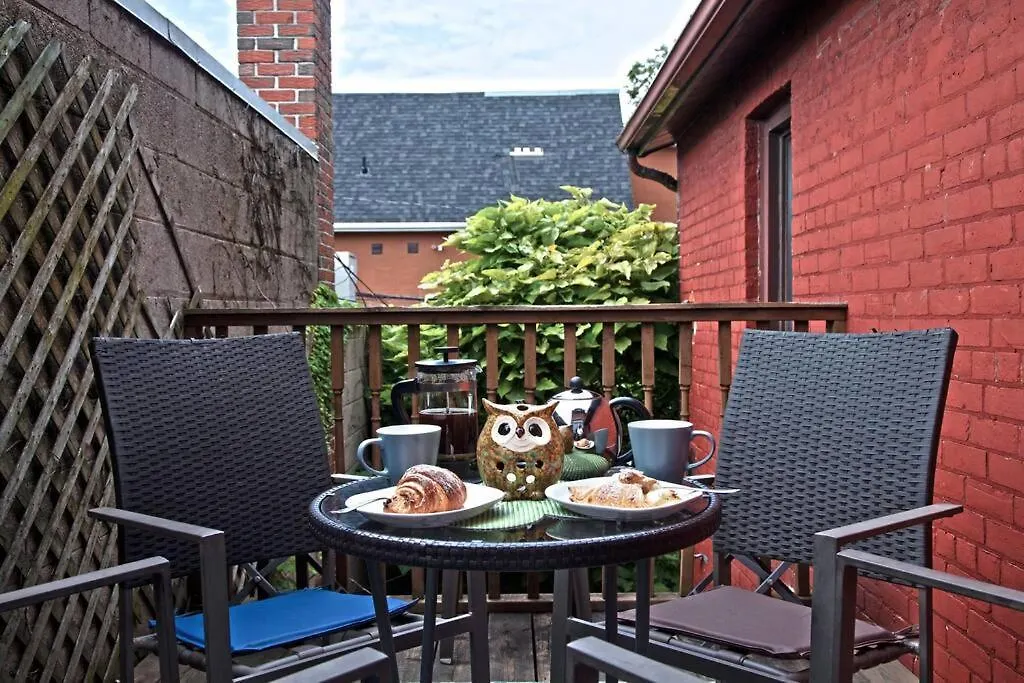 Private 3 Bedroom Apartment In Downtown トロント